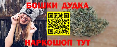 шишки Усть-Илимск