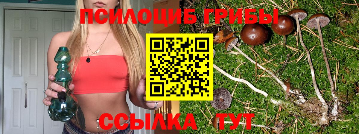 Псилоцибиновые грибы ЛСД Сызрань
