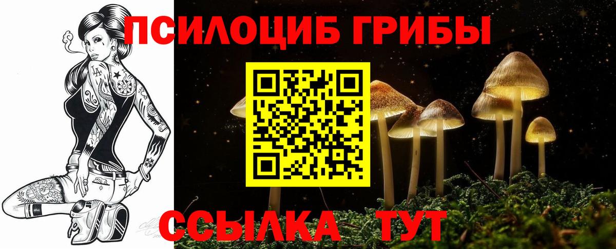 Галлюциногенные грибы Cubensis  Вход с VPN  Сызрань  Галлюциногенные грибы ЛСД 